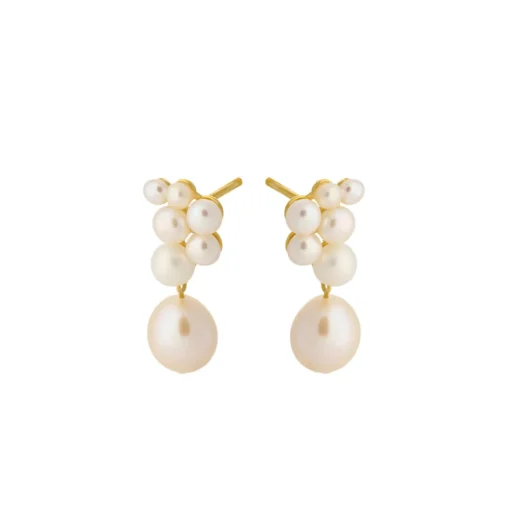 PERNILLE CORYDON Ocean Treasure Earsticks (guld/sølv)